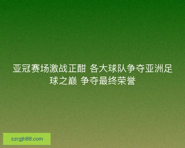 亚冠赛场激战正酣 各大球队争夺亚洲足球之巅 争夺最终荣誉